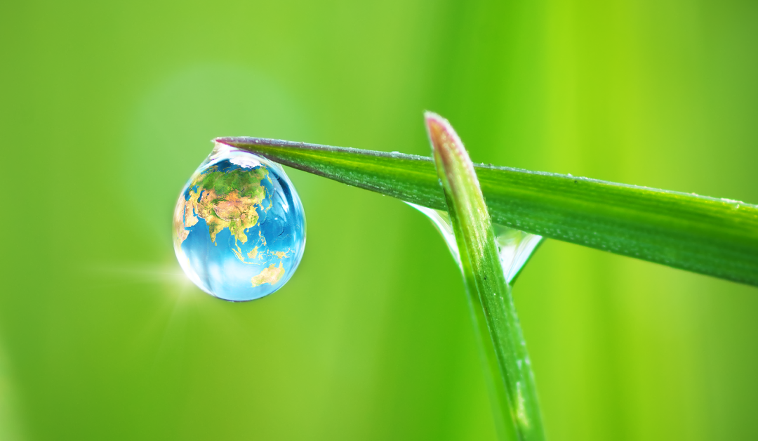 Water Conservation Strategies to Protect Our Precious Resource